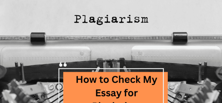 How to Check My Essay for Plagiarism (1)